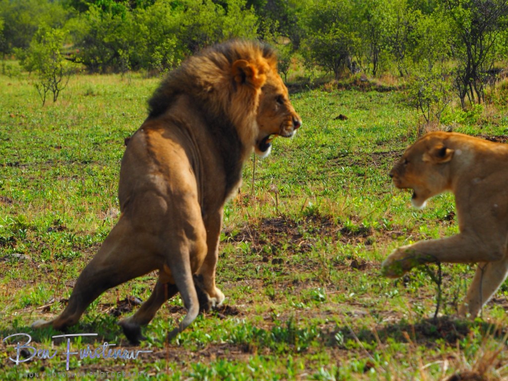 Khwai River, Okavango, Botswana, Africa
