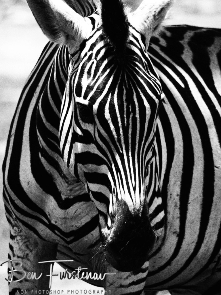 Khwai River, Okavango, Botswana, Africa