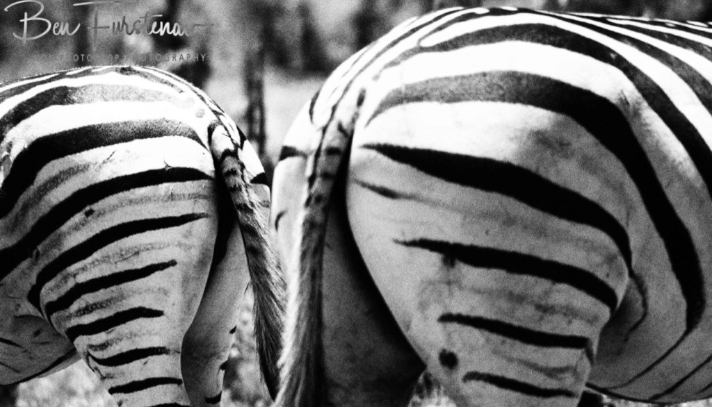 Khwai River, Okavango, Botswana, Africa