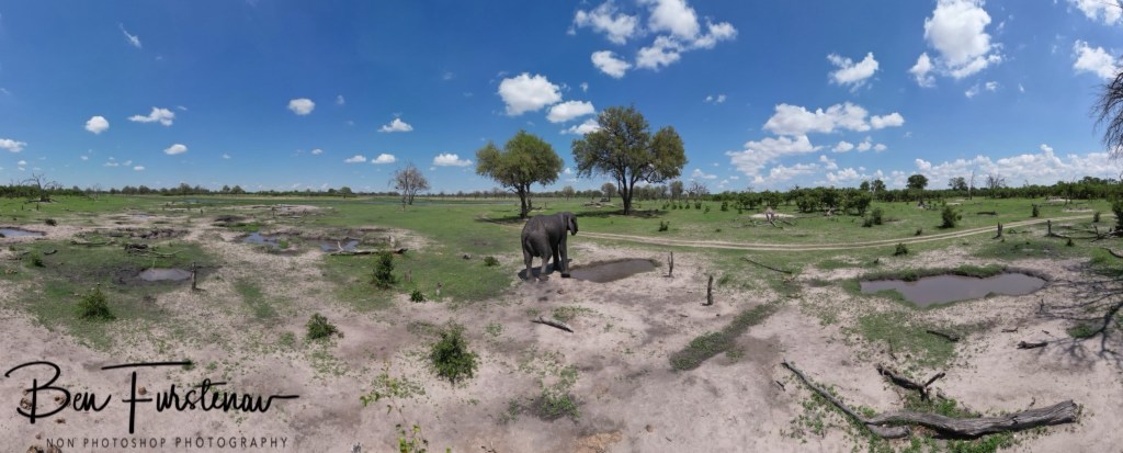 Khwai River, Okavango, Botswana, Africa