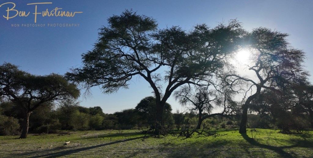 Maghadighadi Salt Pans, Botswana, Africa