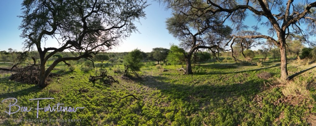 Maghadighadi Salt Pans, Botswana, Africa