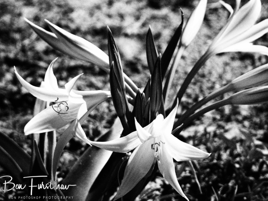 Maghadighadi Salt Pans, Botswana, Africa