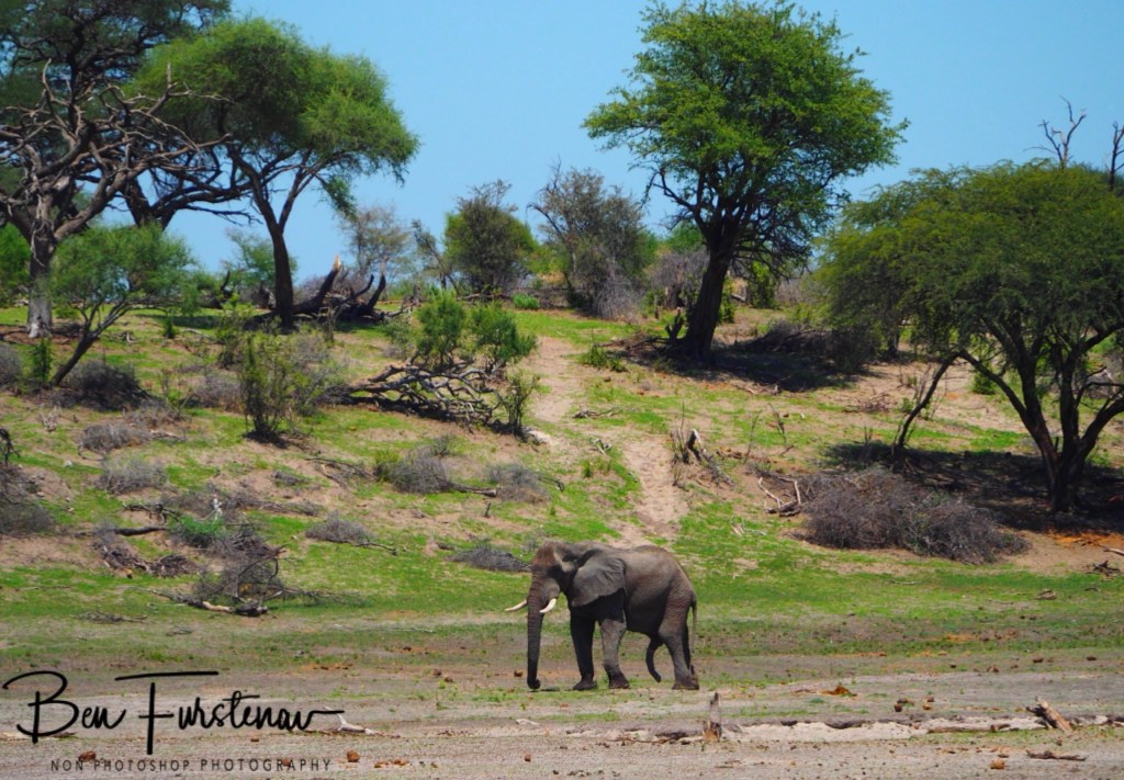 Maghadighadi Salt Pans, Botswana, Africa