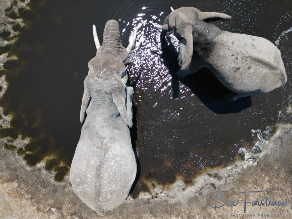 Maghadighadi Salt Pans, Botswana, Africa