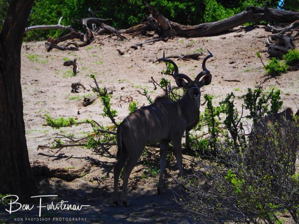 Maghadighadi Salt Pans, Botswana, Africa