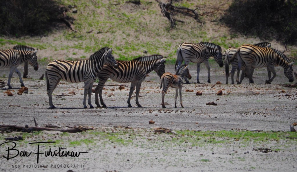 Maghadighadi Salt Pans, Botswana, Africa