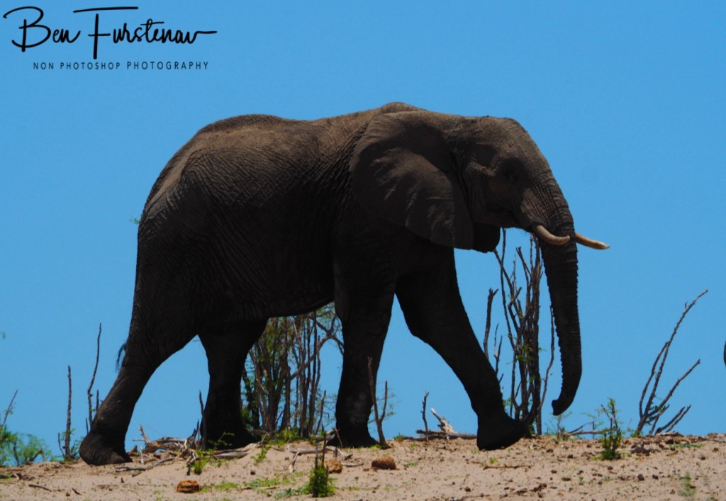 Maghadighadi Salt Pans, Botswana, Africa