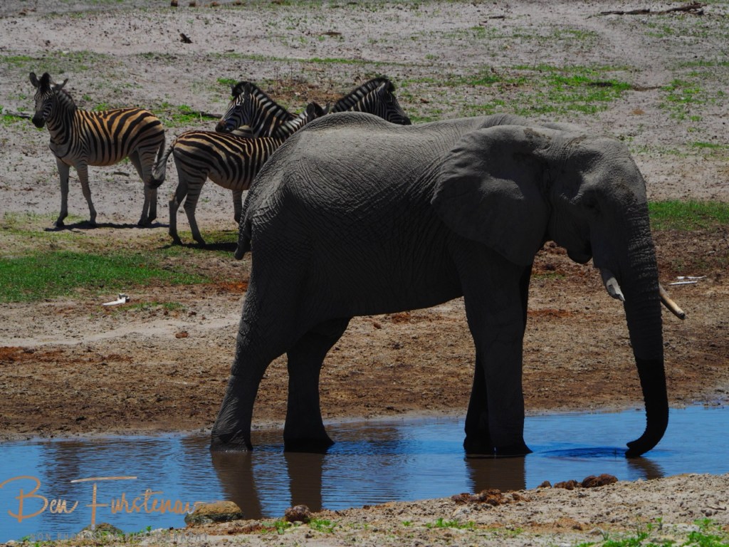 Maghadighadi Salt Pans, Botswana, Africa