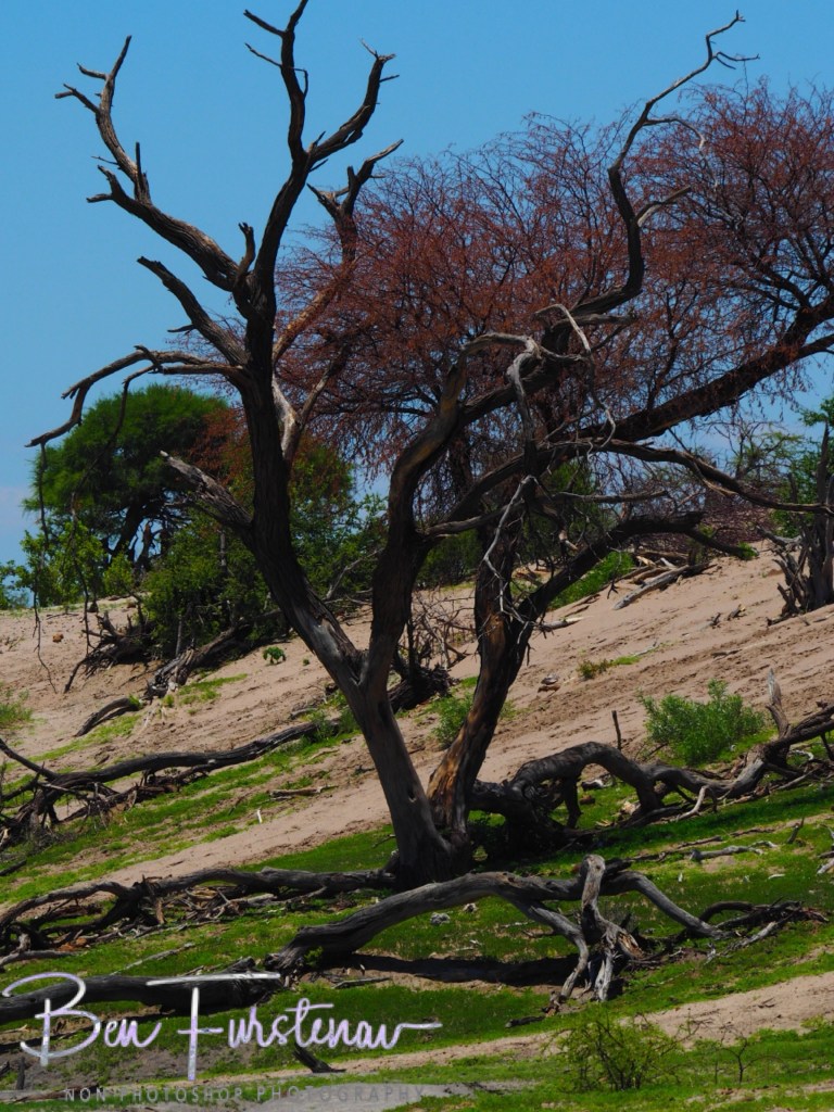 Maghadighadi Salt Pans, Botswana, Africa