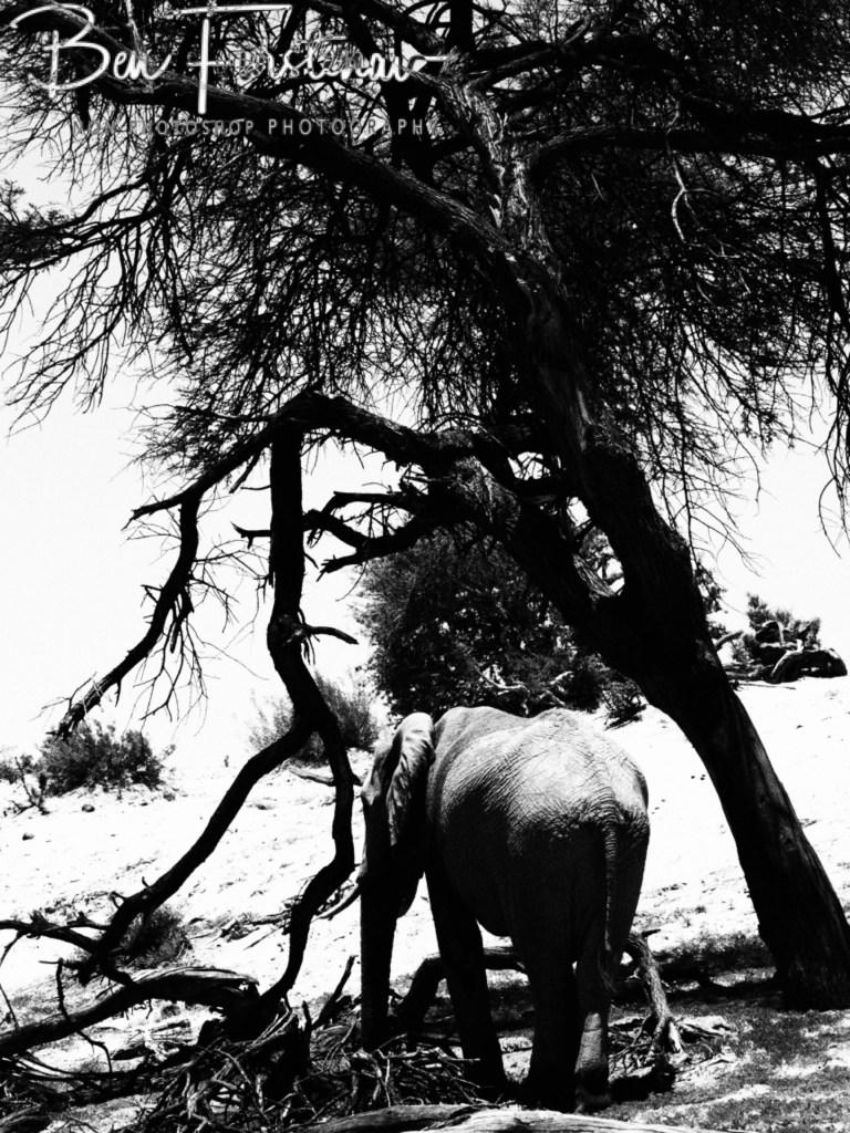 Maghadighadi Salt Pans, Botswana, Africa