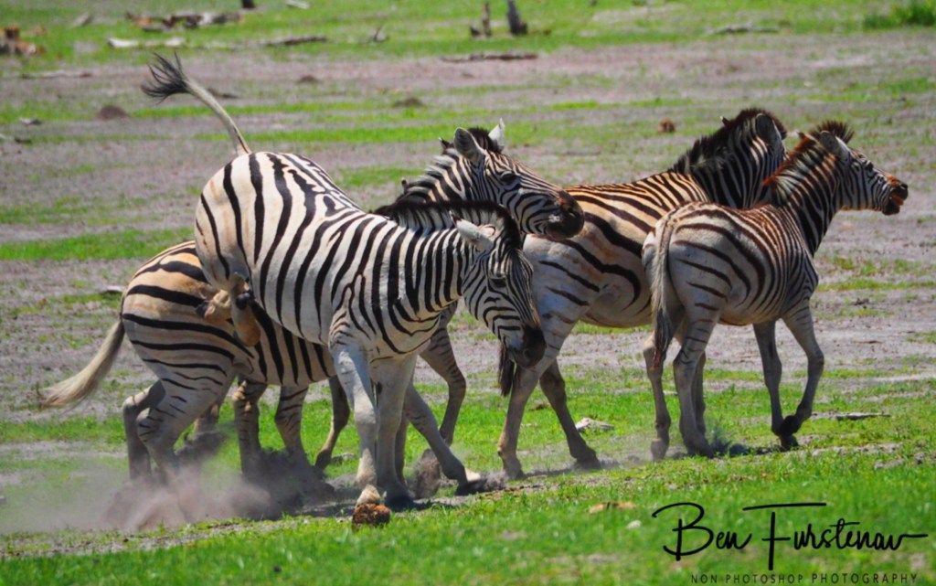 Maghadighadi Salt Pans, Botswana, Africa