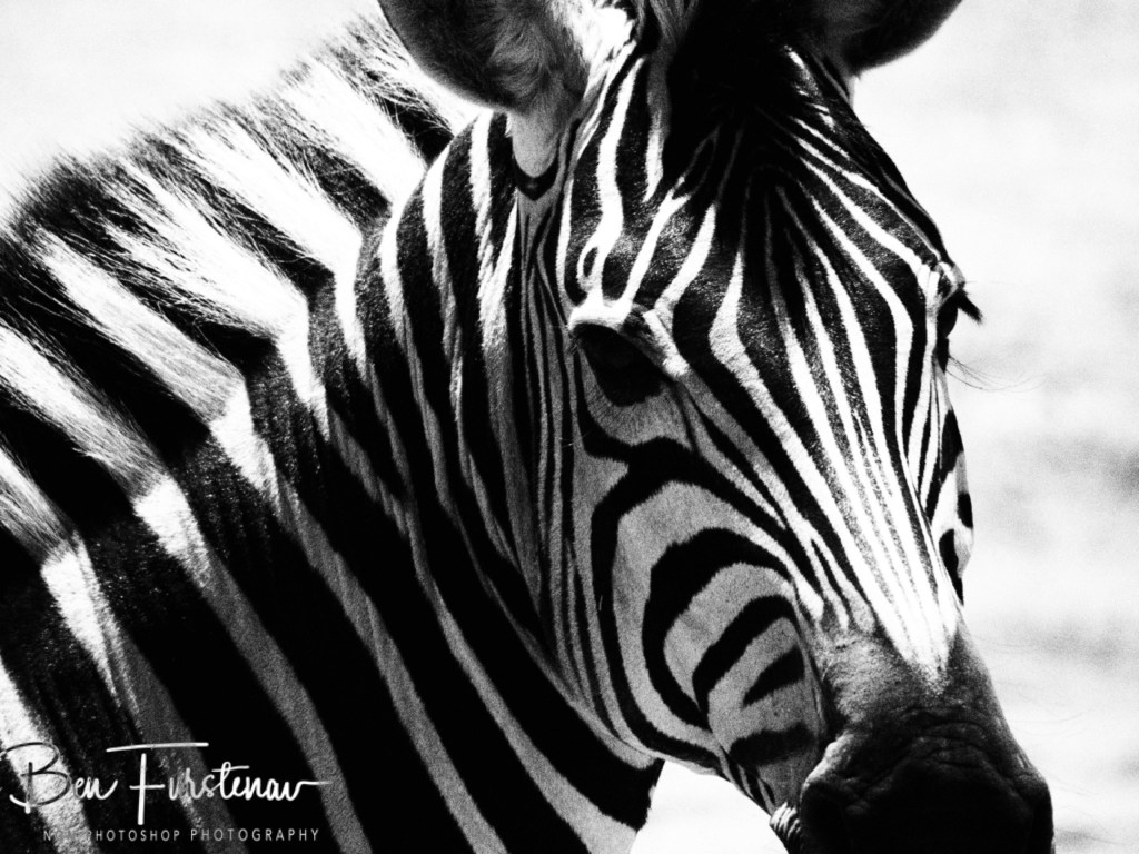 Maghadighadi Salt Pans, Botswana, Africa