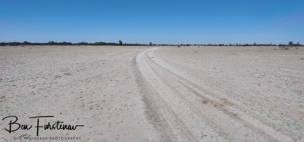 Nxai Salt Pans, Maghadighadi, Botswana, Africa