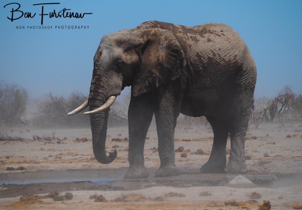 Nxai Salt Pans, Maghadighadi, Botswana, Africa