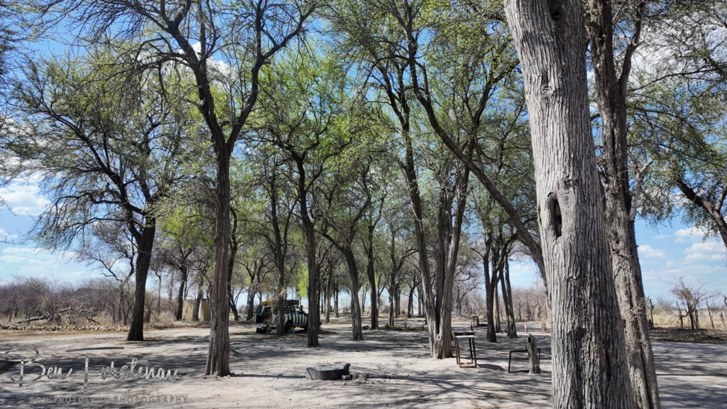 Nxai Salt Pans, Maghadighadi, Botswana, Africa