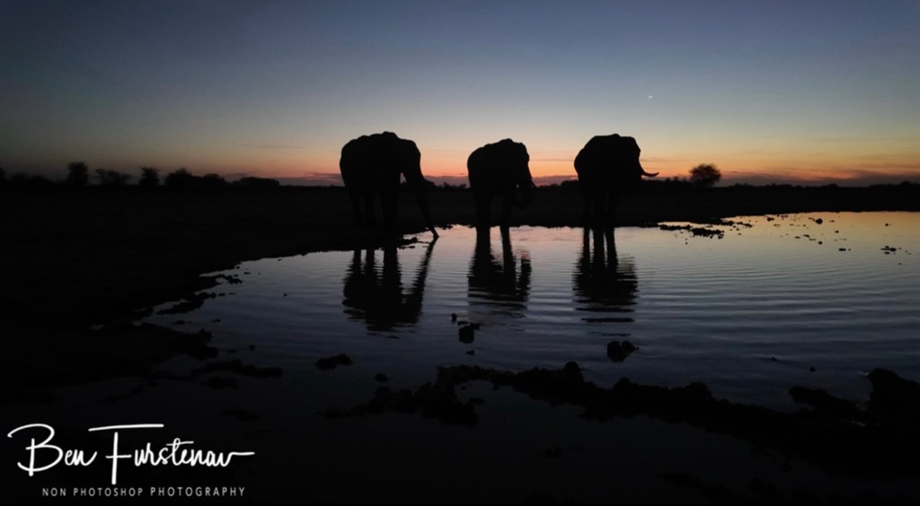 Nxai Salt Pans, Maghadighadi, Botswana, Africa