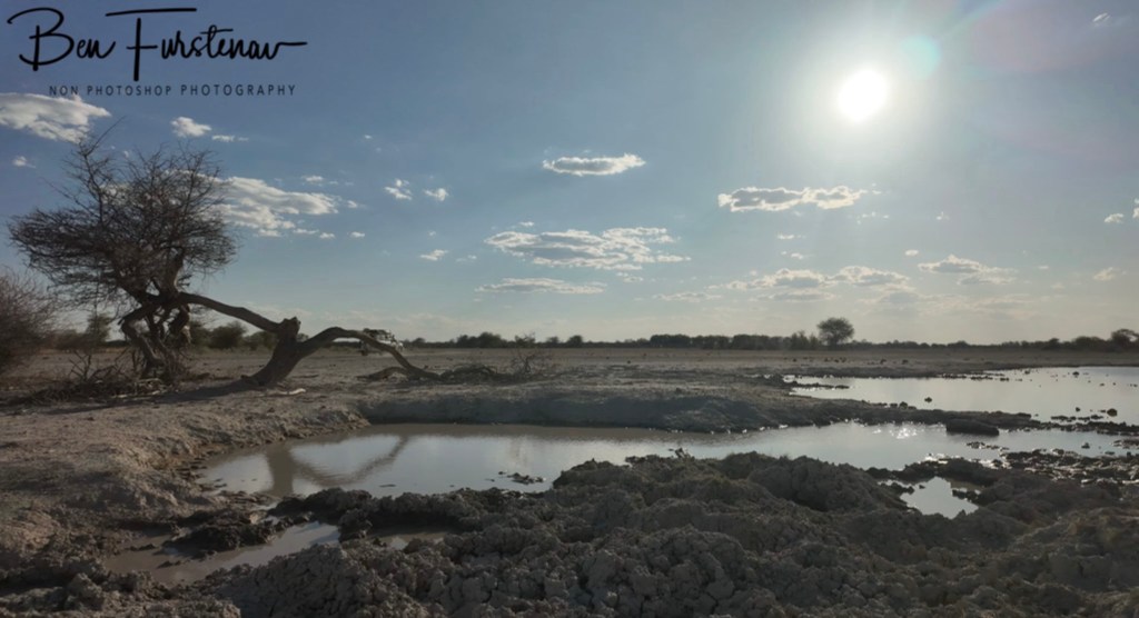 Nxai Salt Pans, Maghadighadi, Botswana, Africa