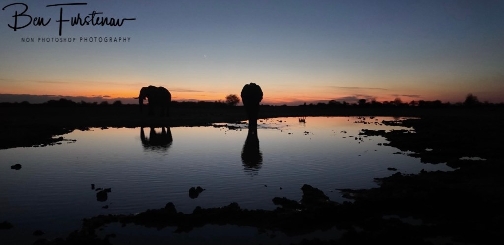 Nxai Salt Pans, Maghadighadi, Botswana, Africa