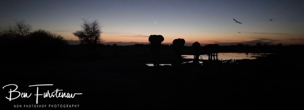 Nxai Salt Pans, Maghadighadi, Botswana, Africa