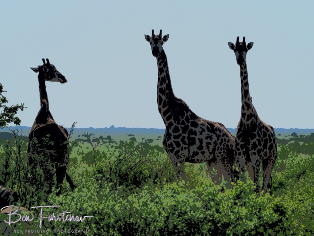 Nxai Salt Pans, Maghadighadi, Botswana, Africa