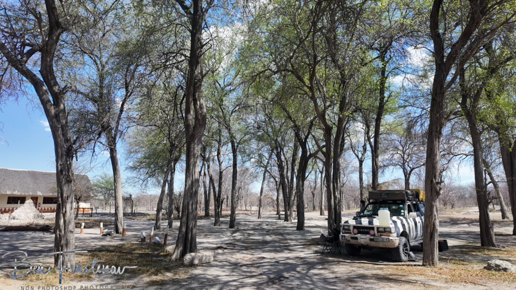 Nxai Salt Pans, Maghadighadi, Botswana, Africa