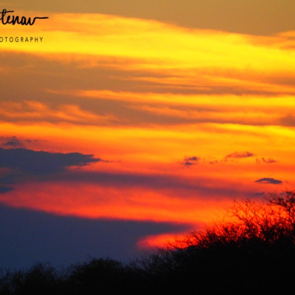 Nxai Salt Pans, Maghadighadi, Botswana, Africa