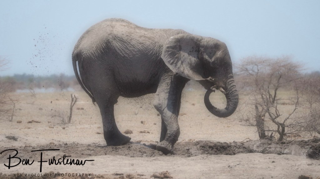 Nxai Salt Pans, Maghadighadi, Botswana, Africa
