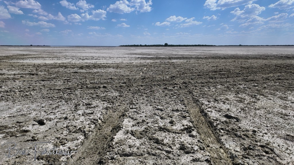 Nxai Salt Pans, Maghadighadi, Botswana, Africa