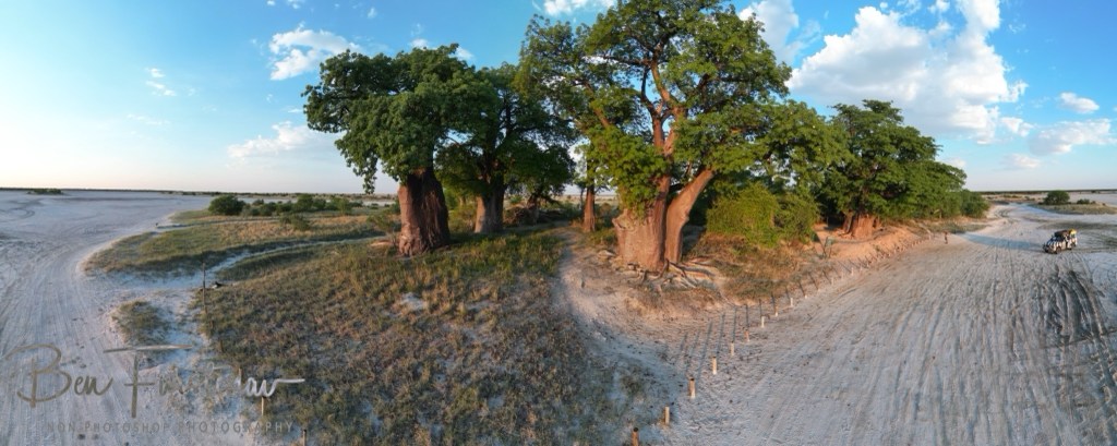 Nxai Salt Pans, Maghadighadi, Botswana, Africa