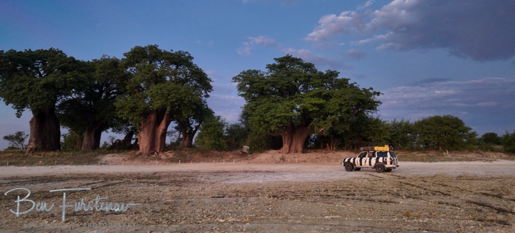 Nxai Salt Pans, Maghadighadi, Botswana, Africa