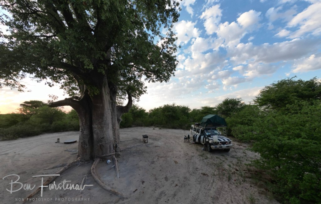 Nxai Salt Pans, Maghadighadi, Botswana, Africa