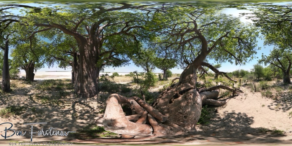 Nxai Salt Pans, Maghadighadi, Botswana, Africa