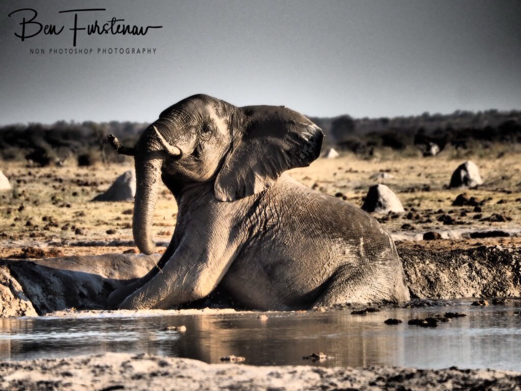 Nxai Salt Pans, Maghadighadi, Botswana, Africa
