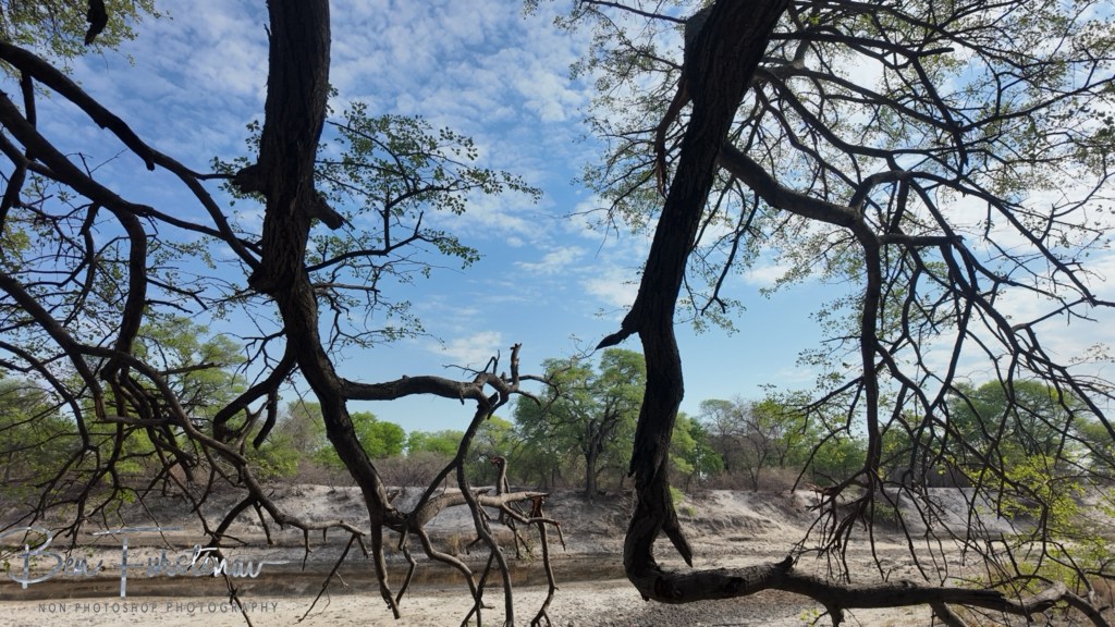 Nata, Botswana, Africa