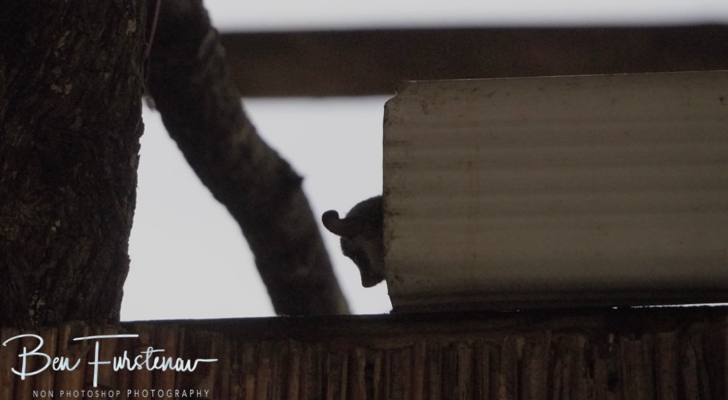 Nata, Botswana, Africa