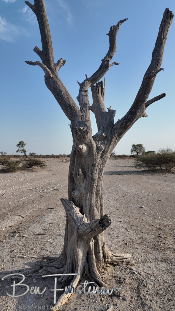 Lekhubu Island, Botswana, Africa
