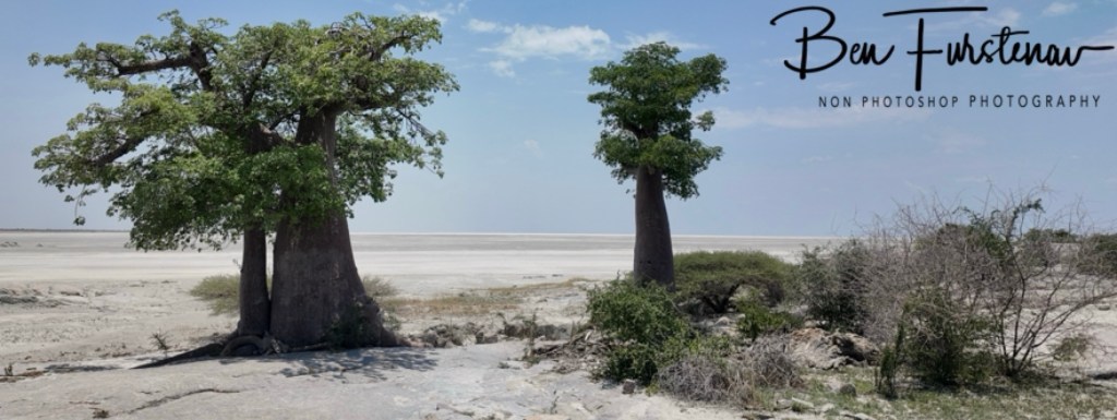 Lekhubu Island, Botswana, Africa