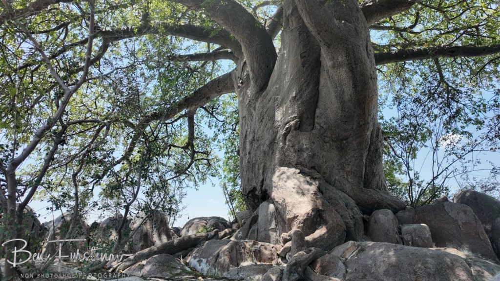 Lekhubu Island, Botswana, Africa