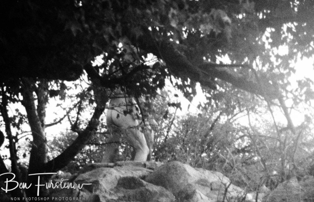 Lekhubu Island, Botswana, Africa