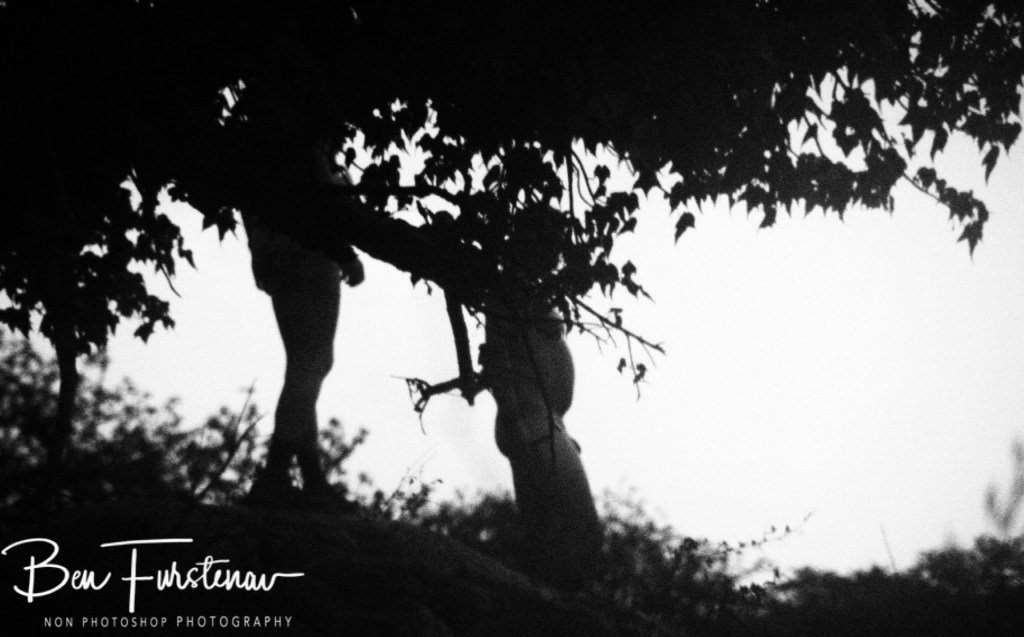 Lekhubu Island, Botswana, Africa