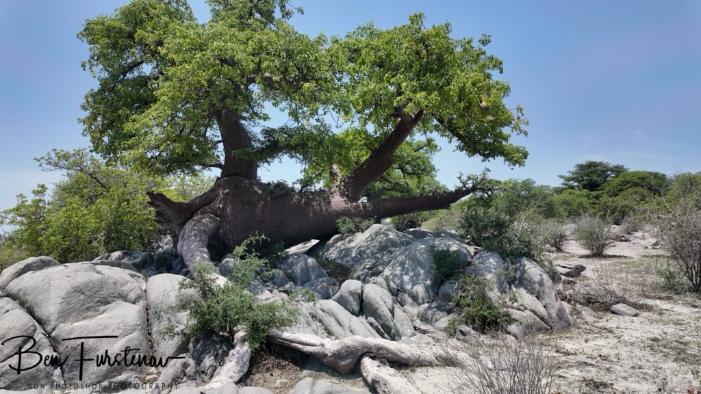 Lekhubu Island, Botswana, Africa