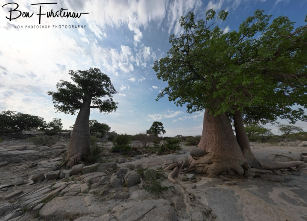 Lekhubu Island, Botswana, Africa