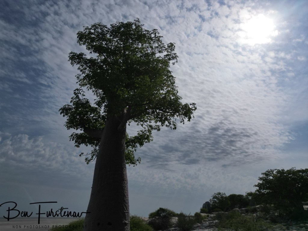 Lekhubu Island, Botswana, Africa