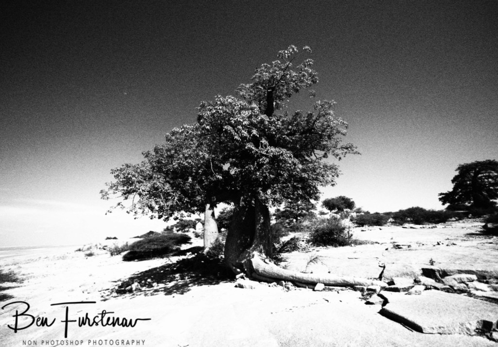 Lekhubu Island, Botswana, Africa