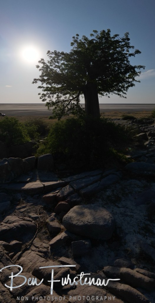 Lekhubu Island, Botswana, Africa