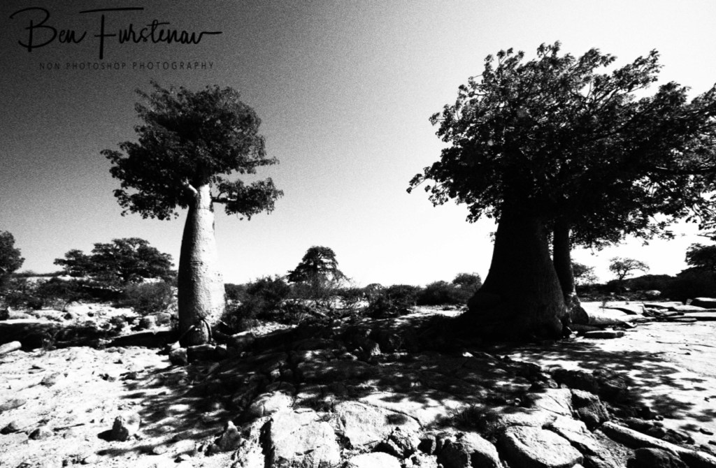 Lekhubu Island, Botswana, Africa