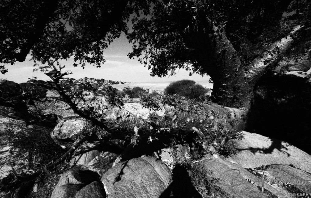 Lekhubu Island, Botswana, Africa