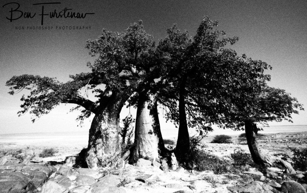 Lekhubu Island, Botswana, Africa
