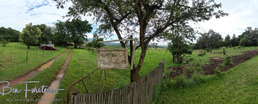 Ingogo, Kwa-Zulu Natal, South Africa, Africa